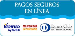 Pagos en línea